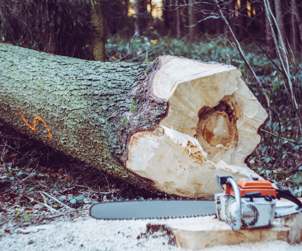 markus-spiske-qcCHZLdsS80-unsplash